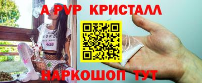 меф Кингисепп