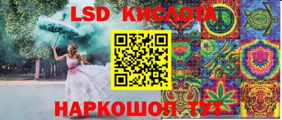 меф Кингисепп