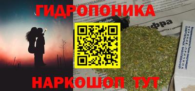 jwh Кинель